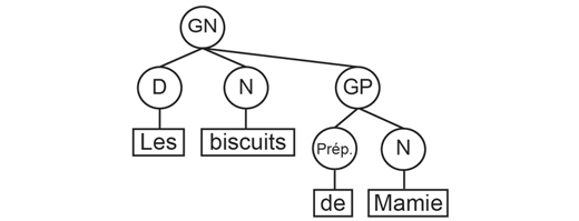 Graphique en arbre 1 - méthode d’analyse