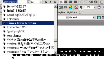 Screen shot showing where to change the font in the word processor