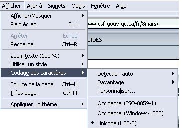Screen shot showing where to change the characters coding in Netscape