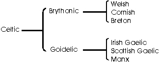 example of braces used to link two or more lines of writing